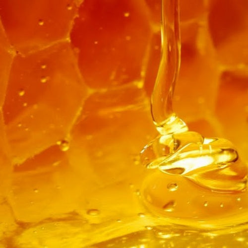 مقدمة العطر